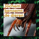 Jochem benoemt de dieren