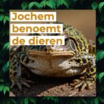 Jochem benoemt de dieren