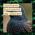 Jochem benoemt de dieren